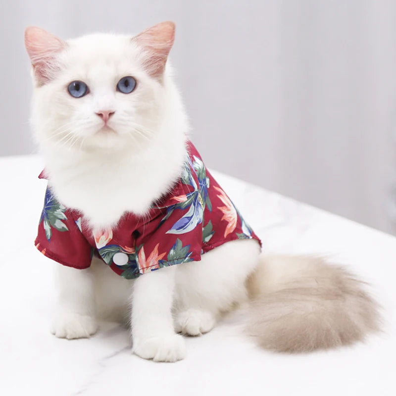 Hawaiian shirt for cat best sale