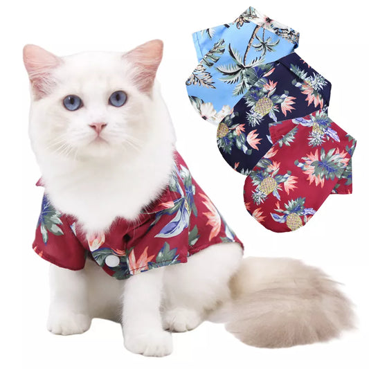 Cat Hawaiian Shirts!